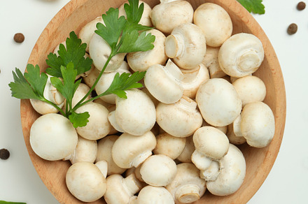 Concept of tasty food with champignon on white, a Food & Drink Photo by AtlasStudio PRO
