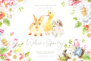 26in1 BUNDLE Watercolor Animal, an Animal Illustration by Catherine Wheel (Thumbnail 14 of 27)