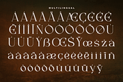 Mayoze - Elegant Classic Font, a Serif Font by Salamahtype (Thumbnail 7 of 7)