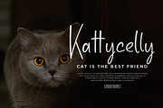 Ballenotty, a Handwritten Font by Integritype Studio (Thumbnail 2 of 15)