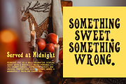 Midnight Pie Whimsical Retro Serif, a Serif Font by foxsong (Thumbnail 2 of 5)