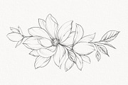 Procreate flower stamp, peony brush, a Brush Add-On by AnnaPolitmerskaja (Thumbnail 11 of 11)