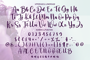 Wildflower | Script Font, a Script Font by Scratchones (Thumbnail 4 of 8)