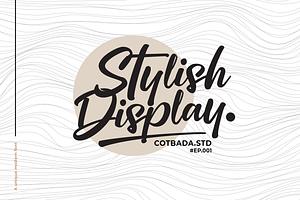 Stylish Display Font