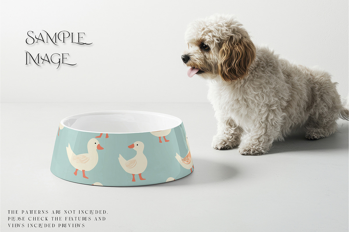 Pet Bowls PNG & PSD Mockups, a Product Mockup by mock-ups (Photo 5 of 14)