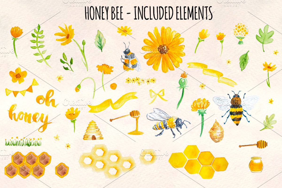 Honey Bee Watercolor Bundle, an Animal Illustration by Violet LeBeaux (Photo 2 of 3)
