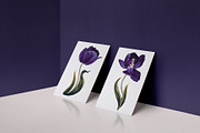 Dark Tulips Vector Set, a Background Graphic by MarynaPetrovska (Thumbnail 9 of 13)