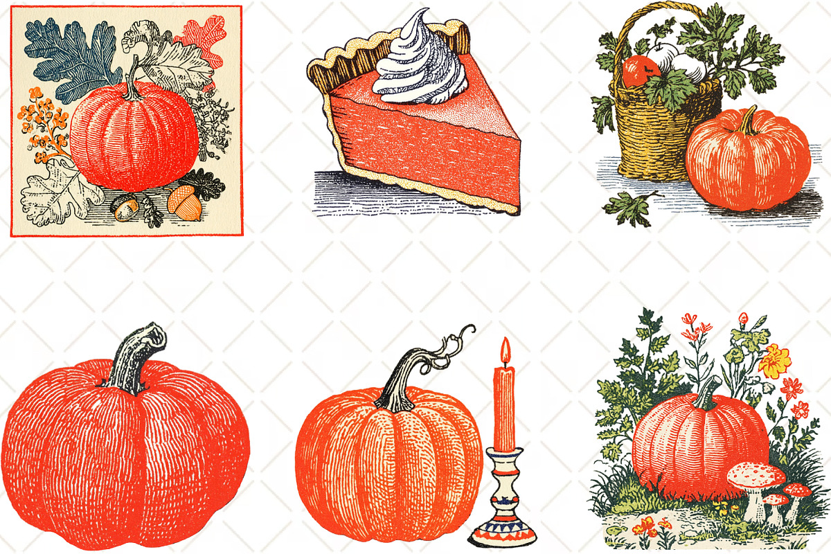 Pumpkin Hand Drawn Fall, an Illustration by Black Bird Studio (Photo 5 of 6)