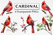 Cardinal Watercolor Clipart, an Animal Illustration by milkghost (Thumbnail 1 of 2)