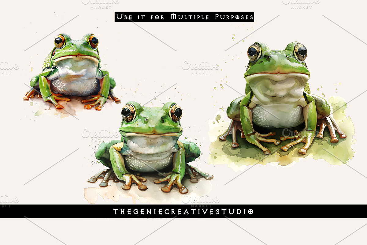 Cute Green Frog PNG Clip Art Set, an Animal Illustration by Geniecreativestudio (Photo 6 of 9)
