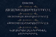 Limit Corner Typeface + Extras, a Serif Font by StoricType (Thumbnail 8 of 11)