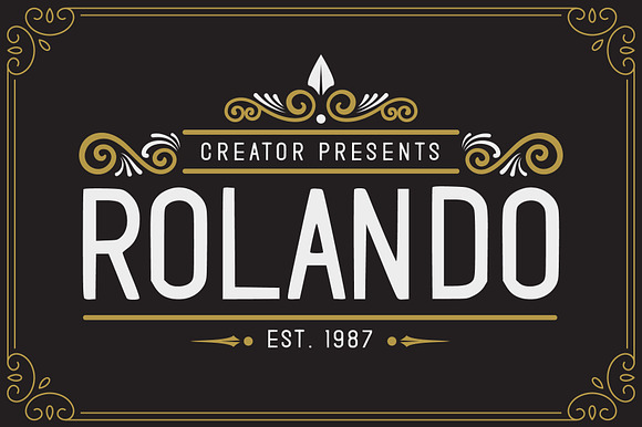 Rolando Vintage Font preview 8