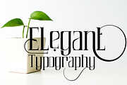 Air Leving, a Serif Font by Bramcreative (Thumbnail 2 of 10)
