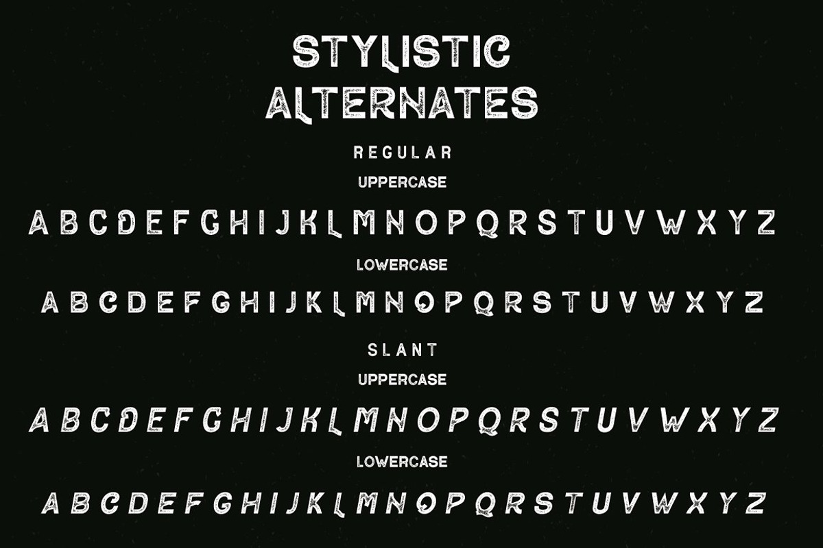 VT Contender - Vintage Display Font, a Sans Serif Font by ViactionType (Photo 12 of 14)