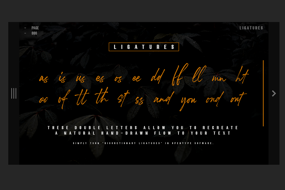 Robusta.02 + Sans Serif Font preview 6