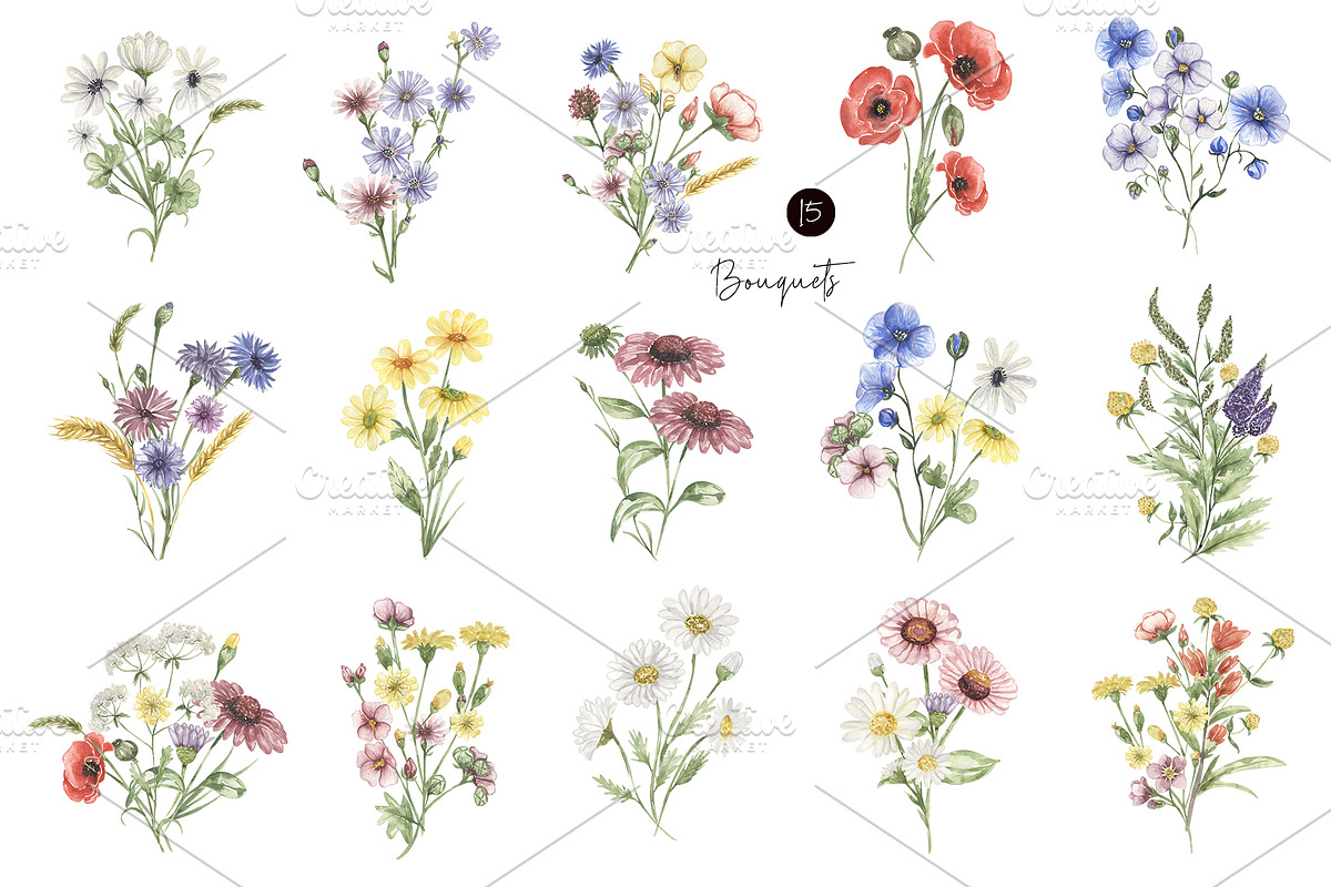 Watercolor Field Flowers Collection, a Decorative Illustration by MayaNavits (Photo 6 of 16)
