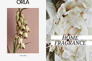 Soft Pastel Stock Photos Bundle 280, a Nature Photo by Tale.Haus (Thumbnail 10 of 19)