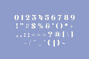 Vakanza - Display Serif Font, a Serif Font by Pikgura (Thumbnail 3 of 8)
