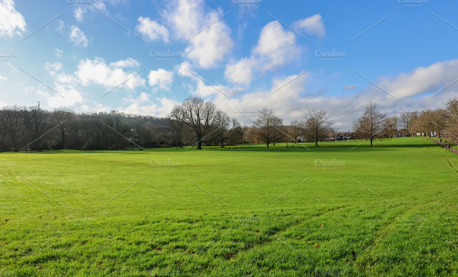 Expansive green park landscape under a bright blue sky with scat, a Photo by Studio ANNA