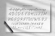Hamiston - Signature Font, a Script Font by Sronstudio (Thumbnail 18 of 19)