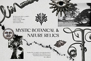 Mystic Botanical & Nature Relics, an Object Graphic by Natali Batu (Thumbnail 1 of 12)