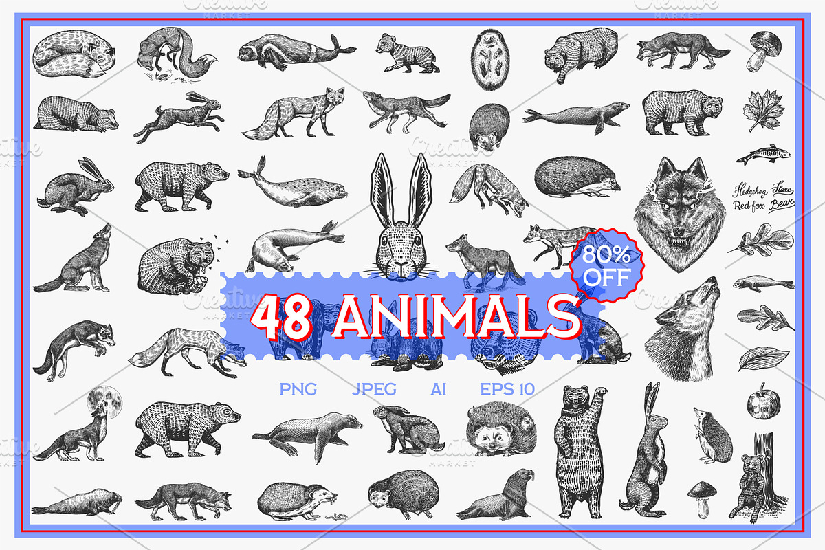 Big set bundle. Animals fox, wolf, an Animal Illustration by Arthur Balitskiy (Photo 1 of 9)