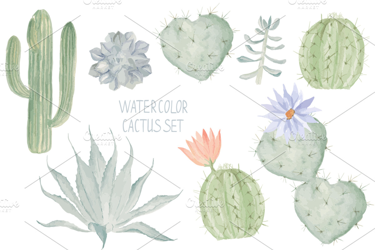 Watercolor cactus set, an Illustration by Natikka Art (Photo 4 of 4)
