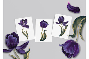 Dark Tulips Vector Set