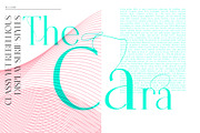 Tilaa Serif -Ligature Typeface, a Serif Font by Ryul Davidson (Thumbnail 9 of 13)