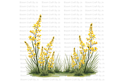 Australian Wildflower- Golden Wattle, a Decorative Illustration by Bloom Craft Creations (Thumbnail 7 of 10)