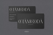 Virgoun | Ligature Serif Typeface, a Serif Font by Krismagraph (Thumbnail 11 of 12)