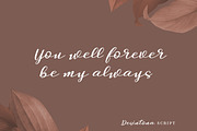 Desintona Script, a Script Font by Solidtype (Thumbnail 6 of 8)