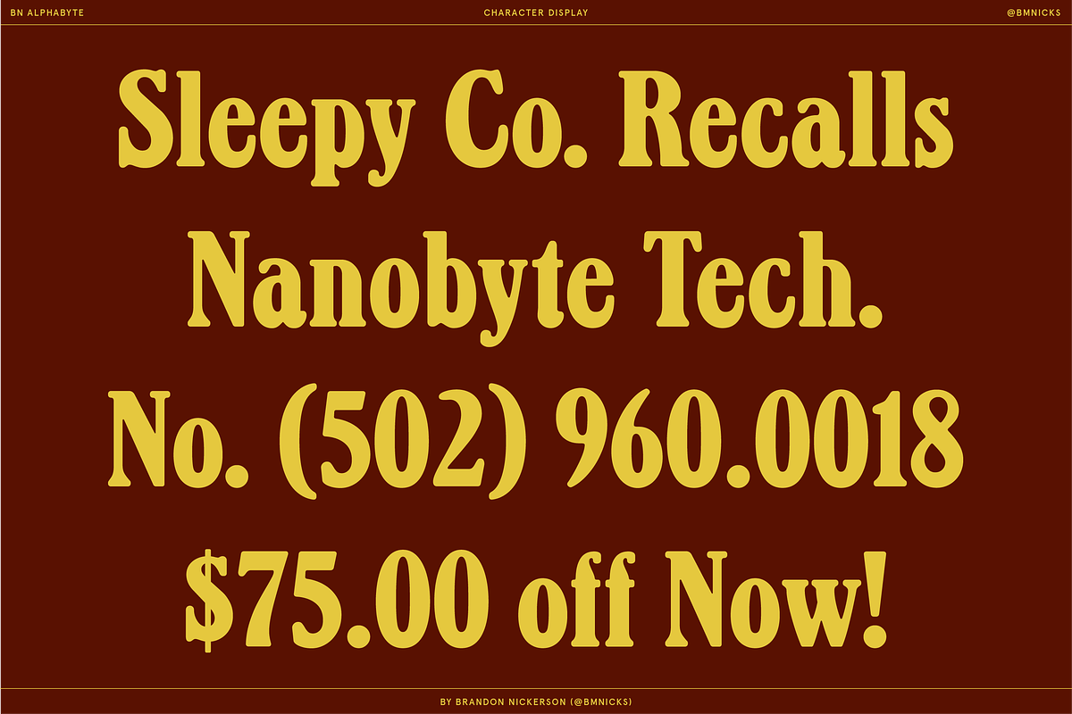BN Alphabyte, a Serif Font by Bnick (Photo 7 of 14)
