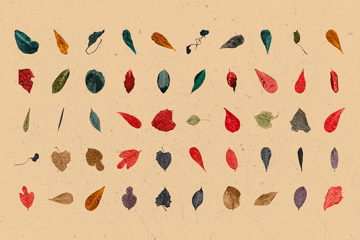 Broken Leaves 200 Transparent Object, an Object Graphic by nicholasasmita (Photo 5 of 15)