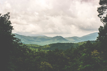 Green Mountain Landscape