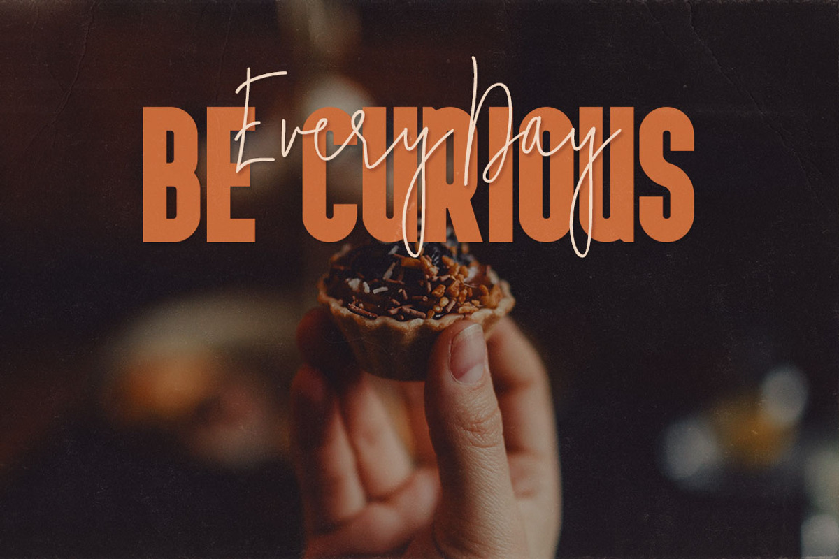 Mindset Font Duo preview 3