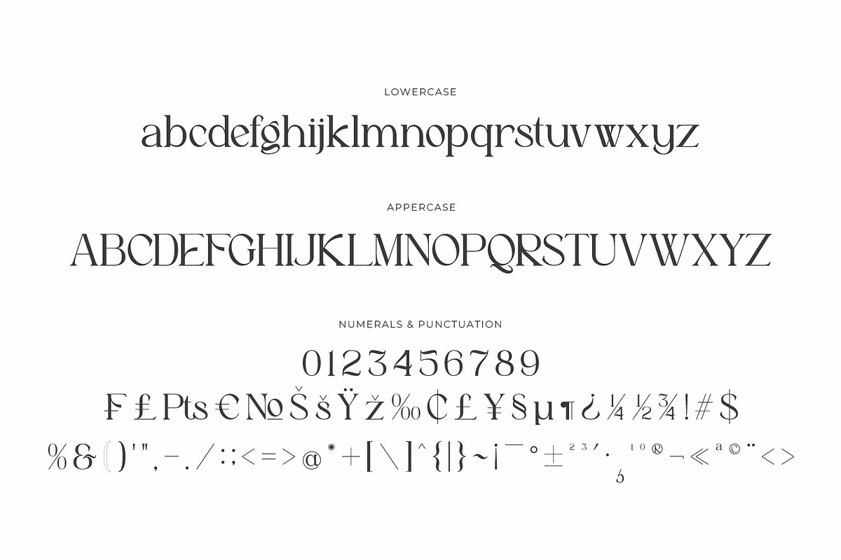 Astafine - Serif Typeface Family, a Serif Font by Rishsketch (Photo 13 of 16)