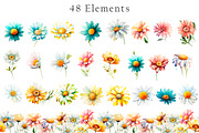 Watercolor Daisies Flowers Clipart, an Object Illustration by Evgeniia (Thumbnail 3 of 8)