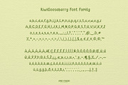 Kiwi Gooseberry Font Family, a Font by LTNG STUDIO (Thumbnail 3 of 9)