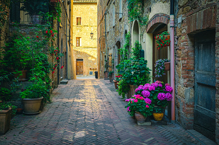 Cozy narrow flowery street, an Architecture Photo by Alpine Dreams