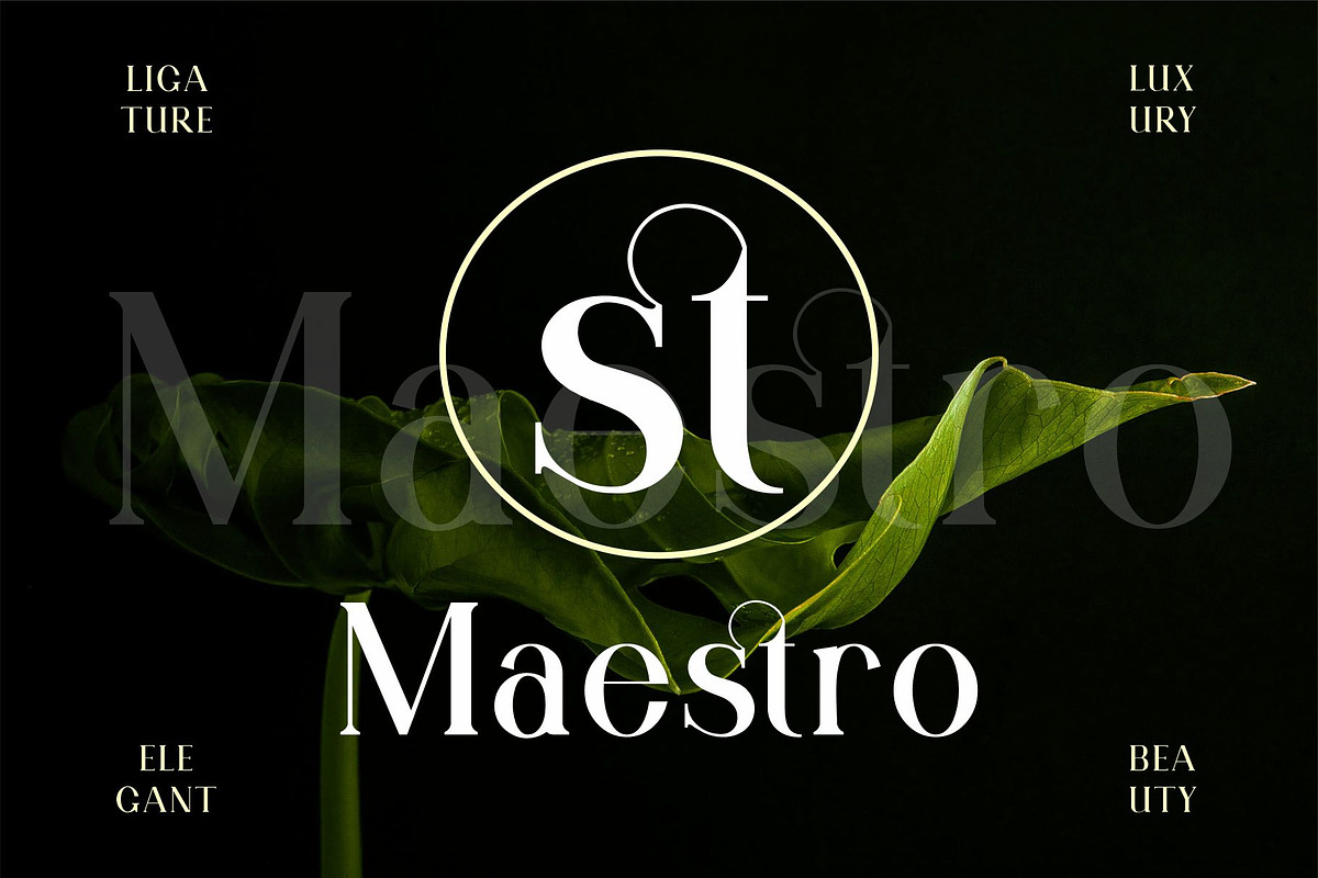 Qitello Ligature Serif Typeface, a Serif Font by Alfinart (Photo 10 of 10)
