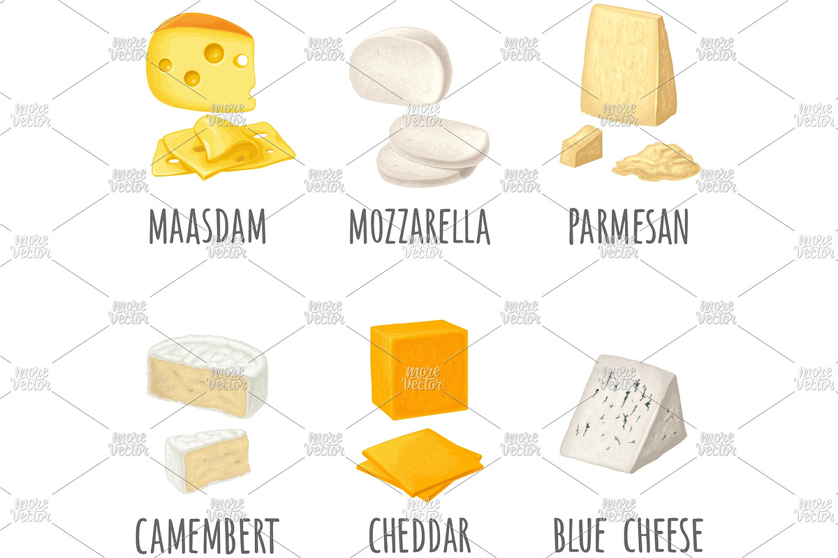 Different types cheese engraving, a Food Illustration by MoreVector (Photo 4 of 4)