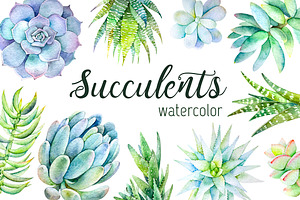 Succulents watercolor set