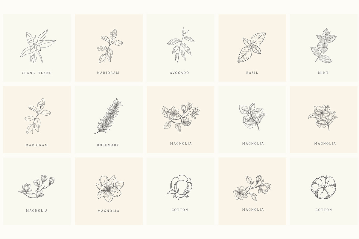 Botanical Hand Drawn Designs, Logos, a Seasonal Illustration by Designwork (Photo 15 of 22)