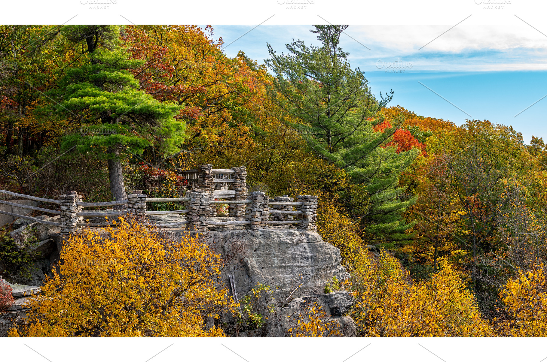 Coopers Rock state park overlook, a Nature Photo by Backyard Stock