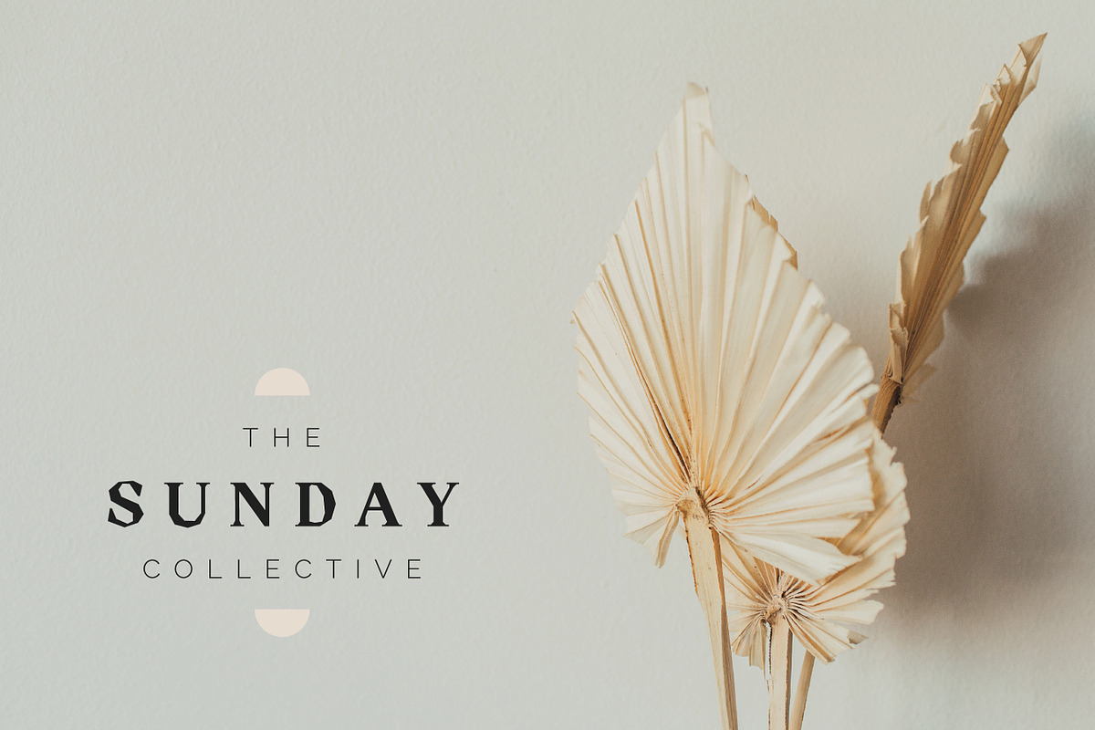 Modern Premade Logo Bundle, a Branding & Logo Template by Forth and Wild (Photo 9 of 11)