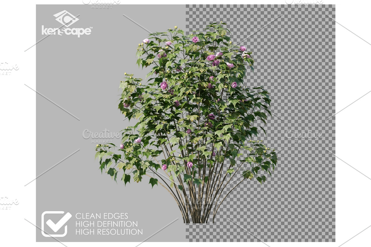 72 Assorted Trees Photo Overlays, a Nature Photo by KenScape (Photo 2 of 3)