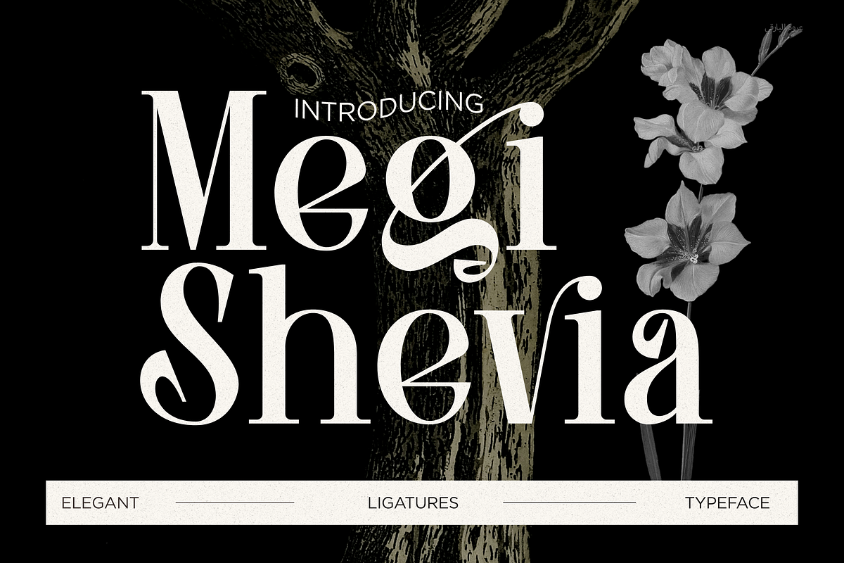 Megi Shevia Modern Serif Font, a Serif Font by Graphicxell (Photo 1 of 9)
