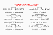 Questline, a Serif Font by Sudtipos (Thumbnail 8 of 9)