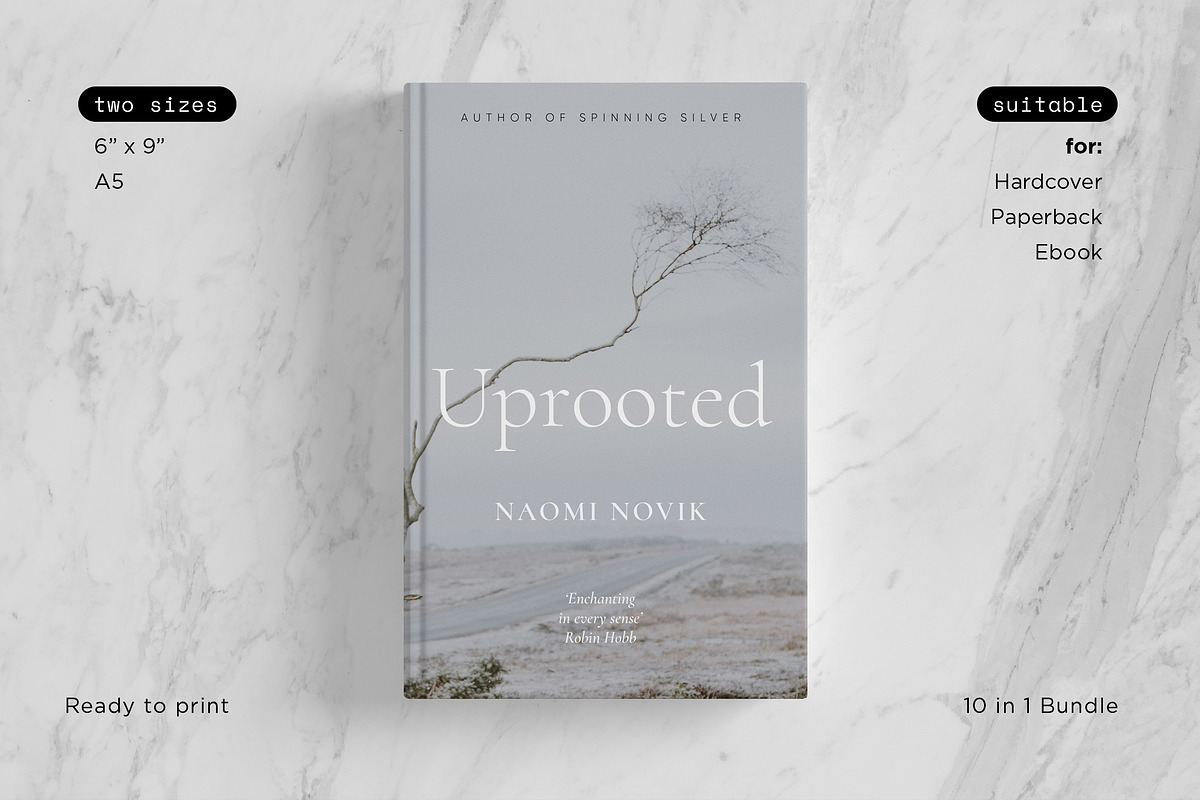 Book Cover Design Template - BUNDLE, a Templates & Theme by September 5th (Photo 11 of 15)